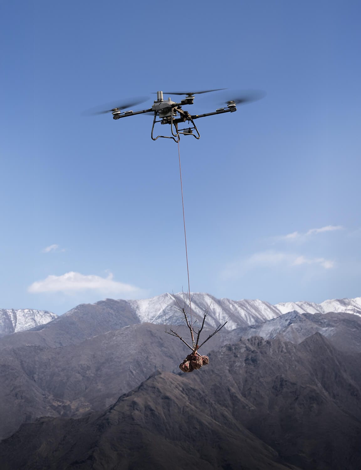 Transporte de plantones (saplings) con dron