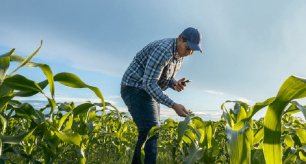 Introducción a la agronomía