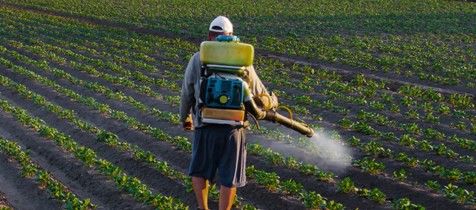 Fumigación tradicional en campo